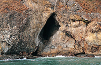 A cave is an opening developed in a sea cliff by wave action exploiting joints in the rocks.