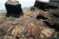 A tower, or residual stump, of rock, which is formed by wave action, commonly by the collapse of a sea arch leaving the seaward end isolated. Stacks may be near, or above, the present sea level.