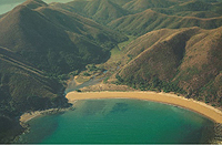 A ridge-like accumulation of sediment, usually sand or muddy sand, that forms parallel to the coastline where constructive waves drive sediments up towards the shoreline to form elongate bars that are exposed at low tide.